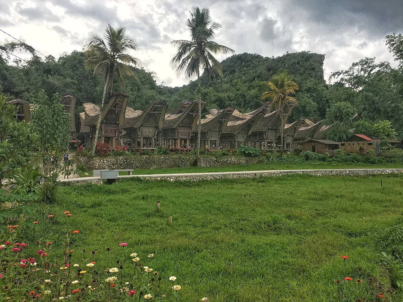 Green rice fields and tongkonan houses below wooded Toraja hills