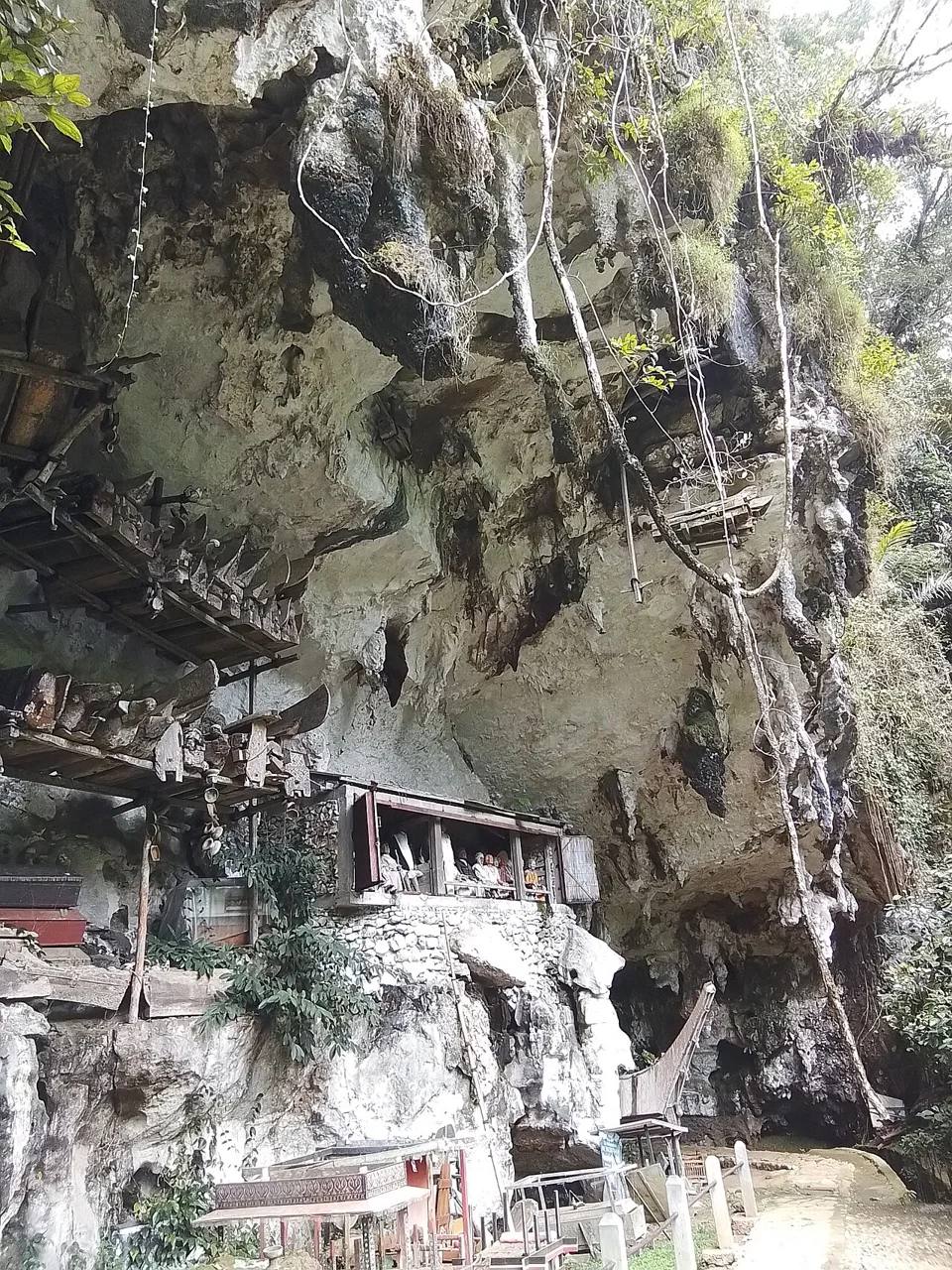 Burial coffins and tau-tau beneath Londa’s broad limestone cliff
