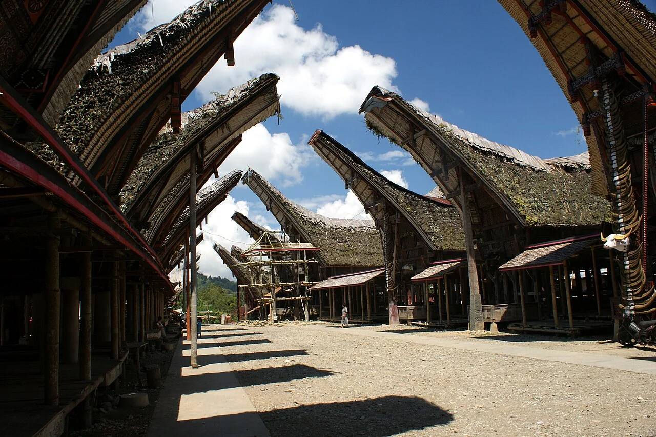 Carved tongkonan houses lining a quiet lane in Pallawa