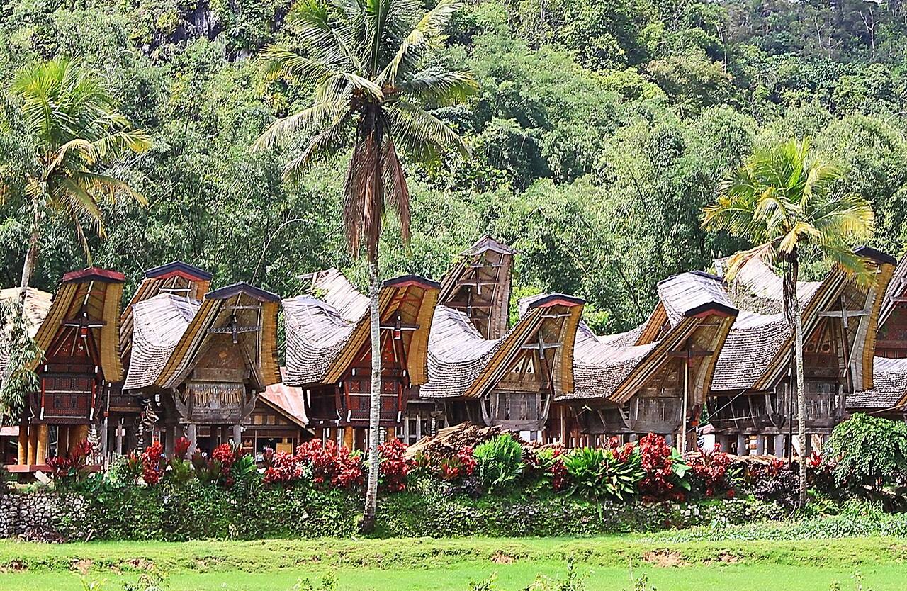 A row of carved tongkonan houses and rice barns beside green planting