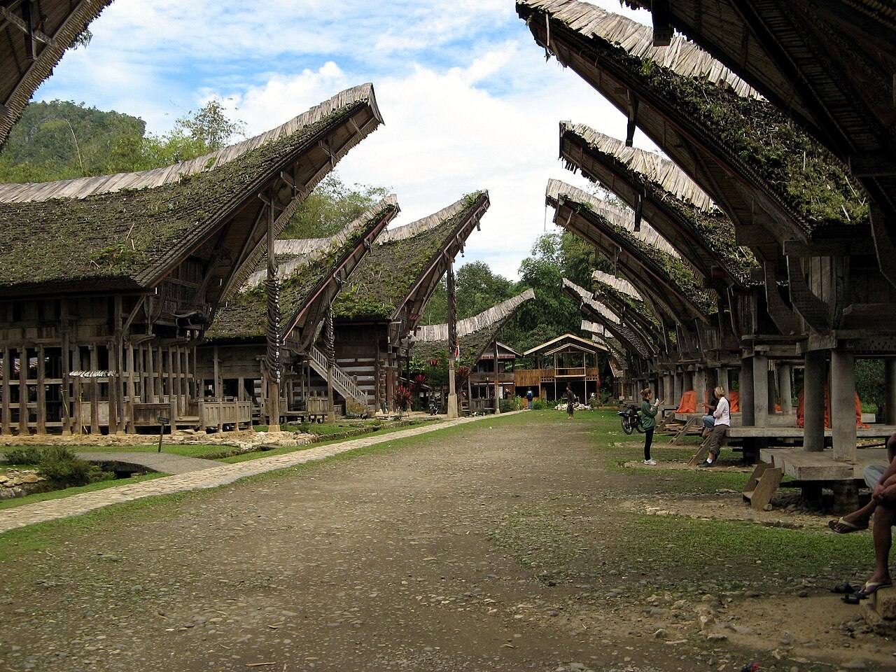 Rows of tongkonan and rice barns facing across Kete Kesu’s village compound