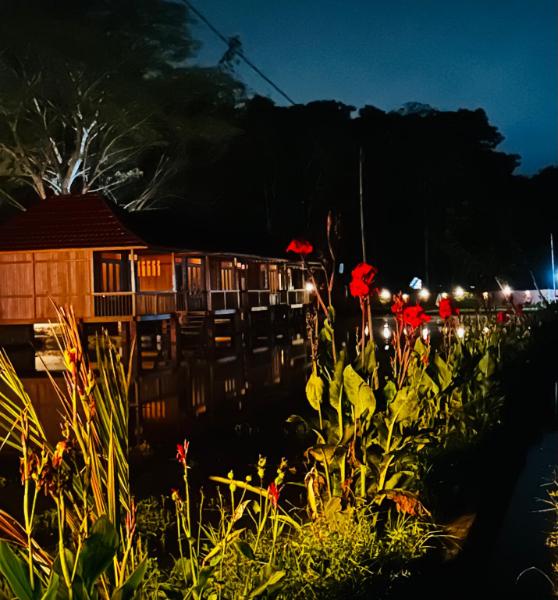 Wooden accommodation buildings and garden plants lit at night at Bait Lino