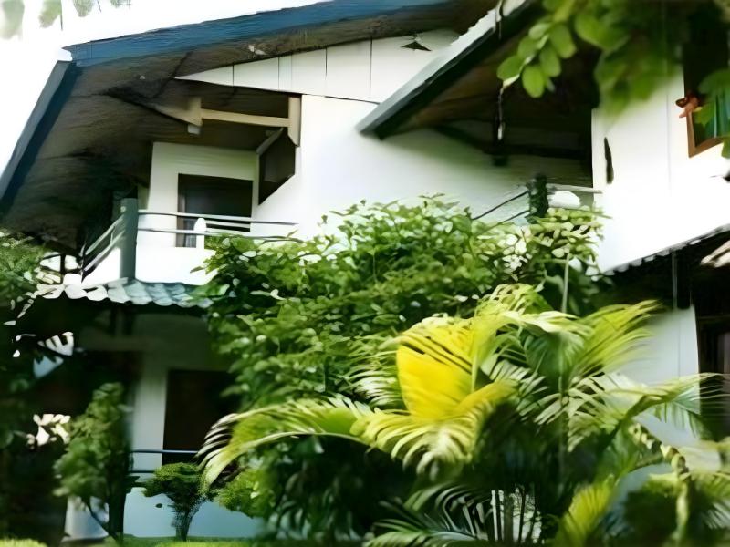 Hotel Pison guestroom balconies behind palms and garden plants