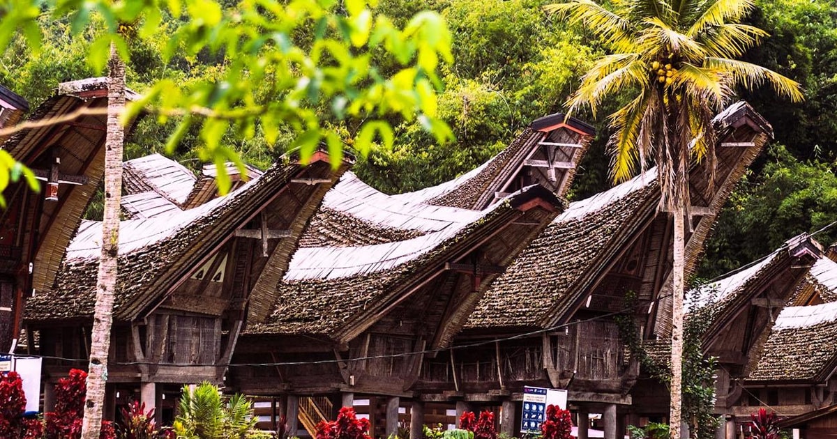 Carved tongkonan houses beneath palm trees